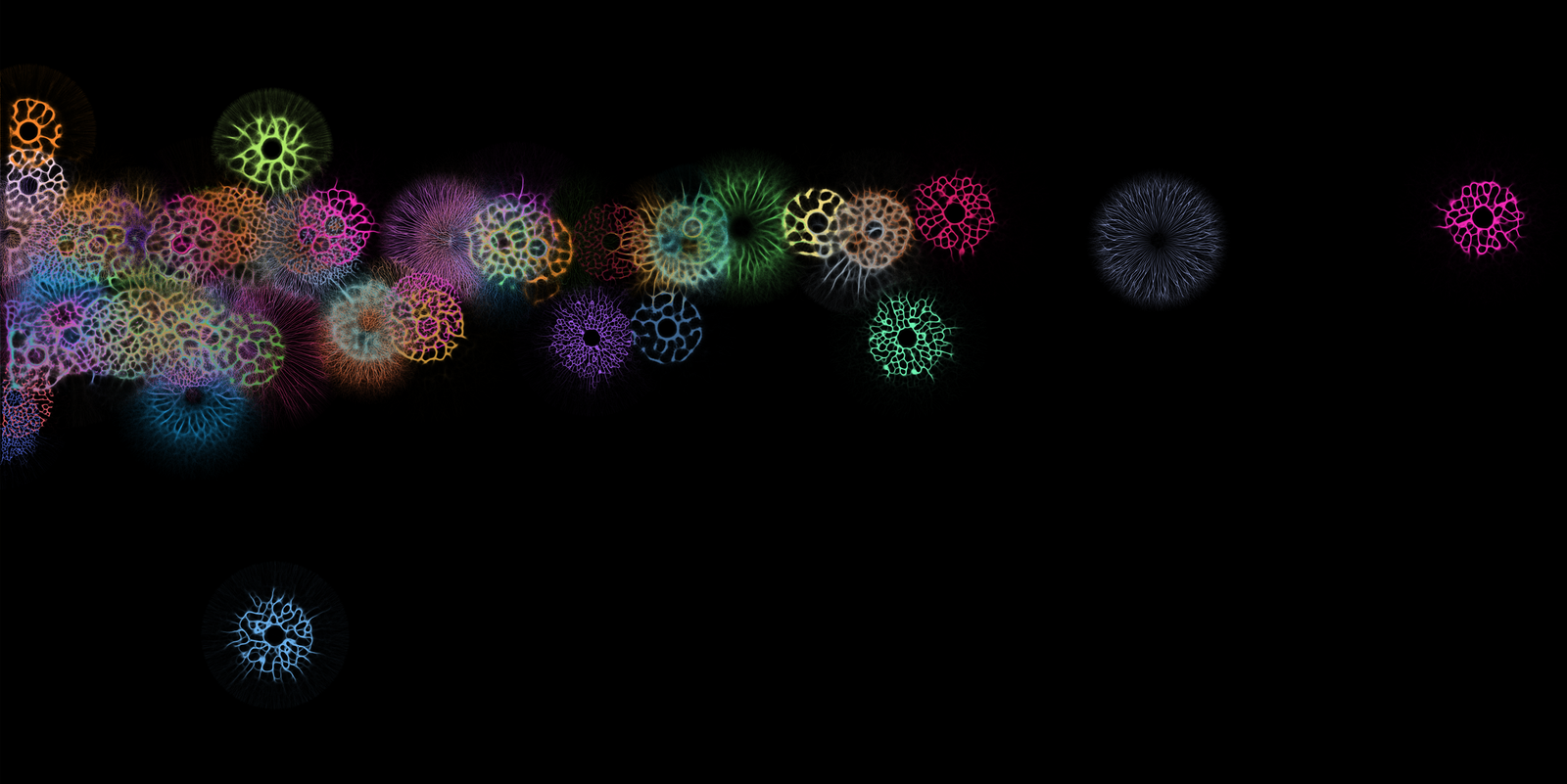 Plate 04: Error Visualization